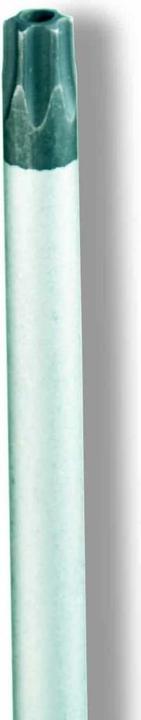 Image du produit Cimco Tournevis TORX avec alésage, T 6 x 60 mm (Pin-torx)