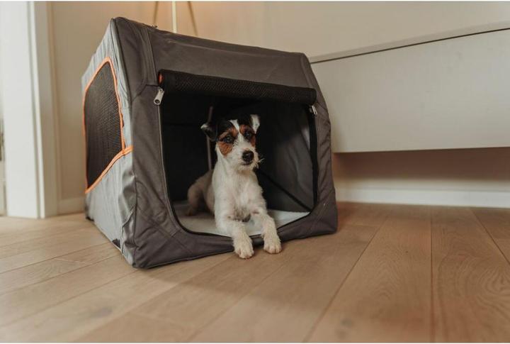 Actual product image Hunter Dog Box (Dog, Lockable, Foldable)