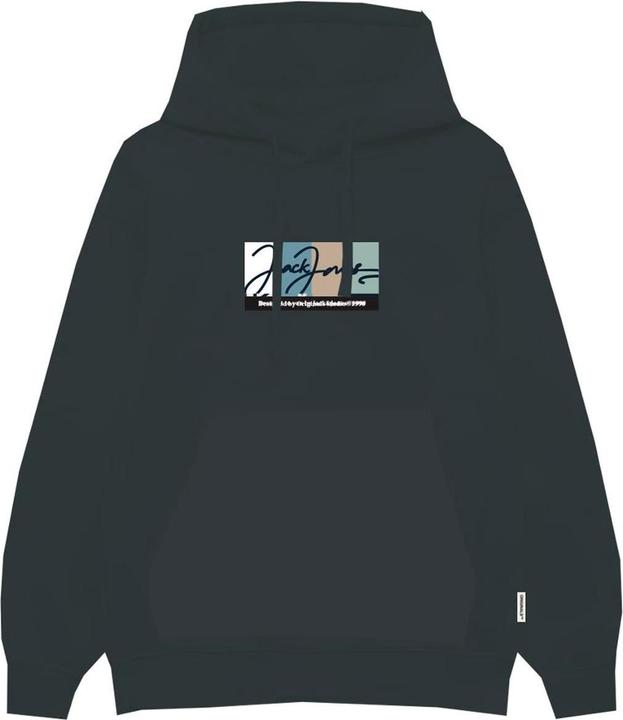 Actual product image Jack & Jones Jorportland Block Sweat Hood Ln (S)