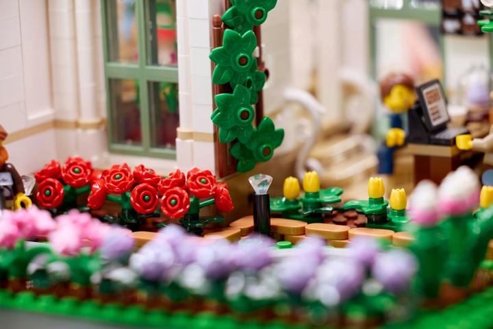 Actual product image LEGO The botanical garden (21353, LEGO Ideas, LEGO Rare Sets)