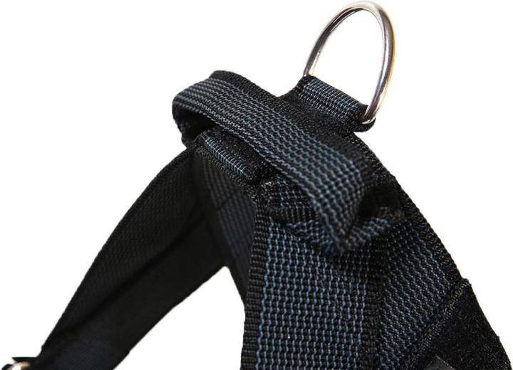 Produktbild Julius-K9 IDC®-Gurtbandgeschirr Grösse: Brustumfang (1, Hund, Hundesport)