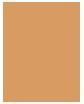 Produktbild Estée Lauder Pure Color (3W1 Tawny)