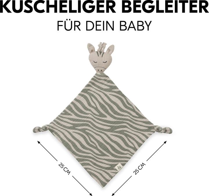 Image du produit Hauck Cuddle N Play Zebra Sage