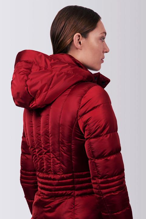 Actual product image Euro-star Ferrera (XXL)