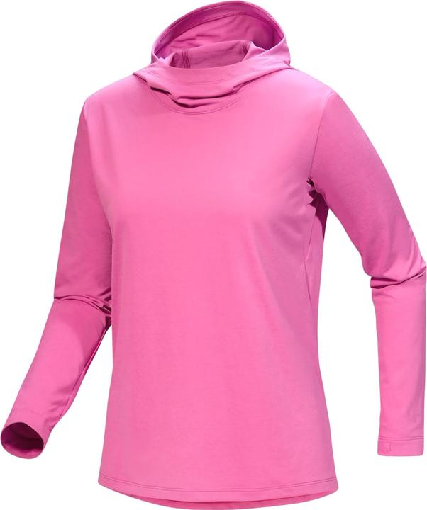 Arc'teryx Funktionshoodie Taema