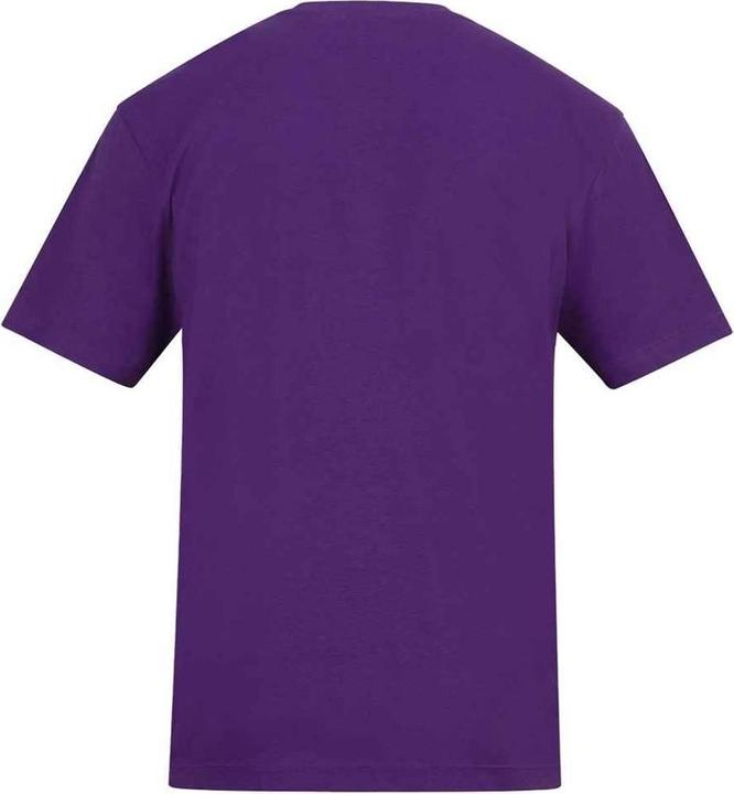 Image du produit Awdis - T-shirt - Adulte (L)
