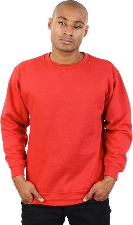 Produktbild Absolute Apparel Magnum Pullover (3XL)