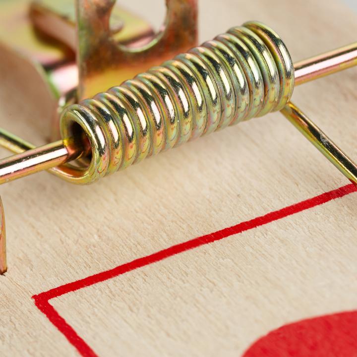 Image du produit Relaxdays Jeu de 12 pièges à rongeurs