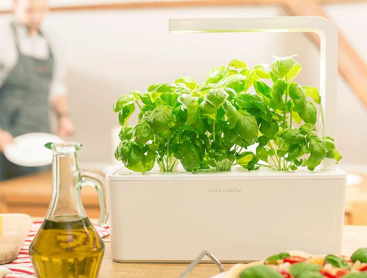 Produktbild Click and Grow Smart Garden (31.50 cm)