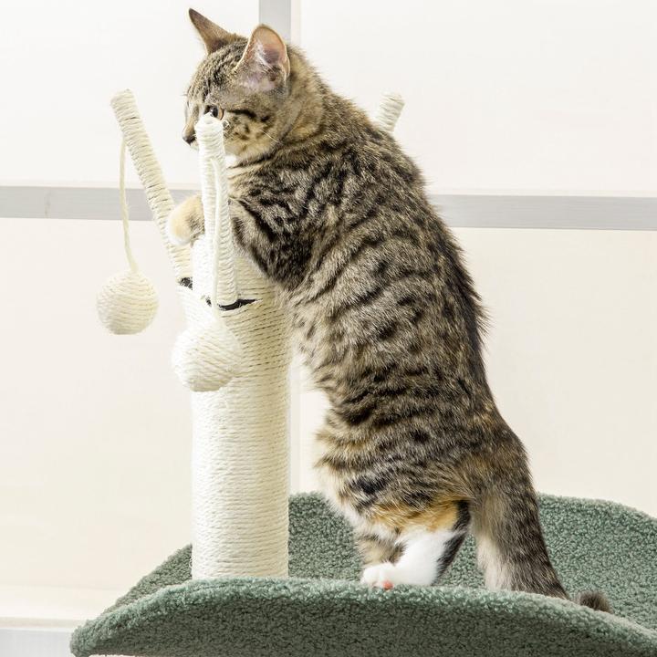 Actual product image Jamb Scratching post (123 cm, Green, Cream)