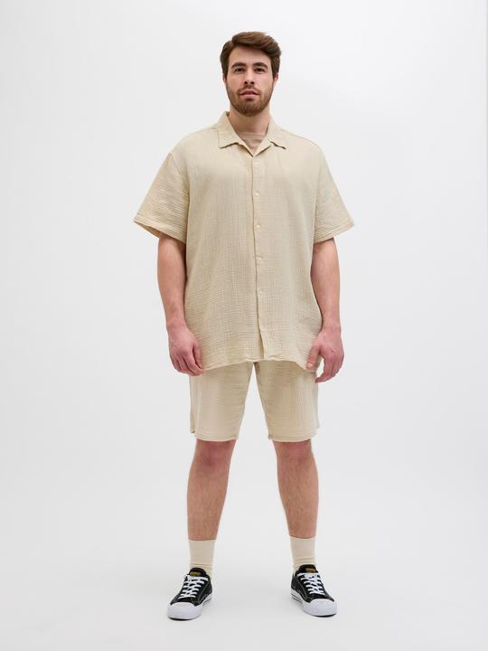 Produktbild Jack & Jones Plus Size Loose Fit Relaxed Fit Shorts Relaxed Fit Shorts (42)
