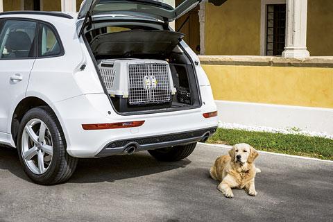 Actual product image Kerbl Gulliver Touring (Dog, Cat, Lockable, Can be opened completely)