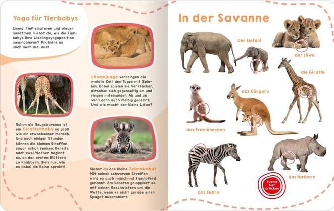 Produktbild Mein grosses Geräuschebuch – Tierbabys (Deutsch)