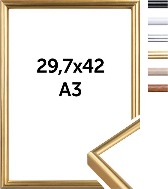 Immagine prodotto Dörr Cornice New York Oro, 29,7 x 42 cm (29,7 x 42 cm)