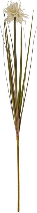 Immagine prodotto Hill Interiors Crisantemo Ragno Aster Fiore Artificiale (80 cm)