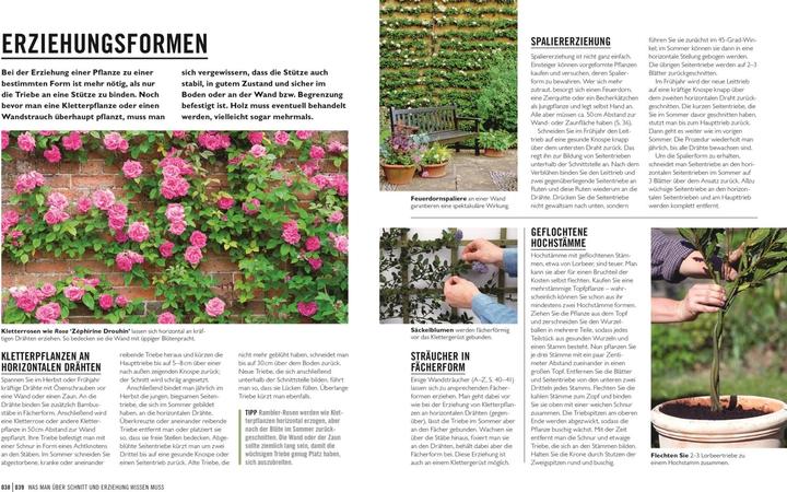Immagine prodotto Grünes Gartenwissen. Pflanzen richtig schneiden (Tedesco, Stephanie Mahon, Reinhard Ferstl, Casa editrice DK, 2022)