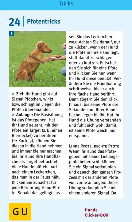 Image du produit Hunde Clicker-Box 36 Trainingskarten (Allemand, Sabine Winkler, 2016)