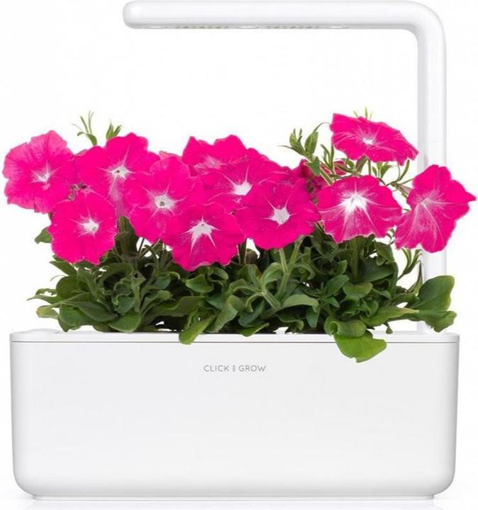 Image du produit Click and Grow Semences de pétunia rose, paquet de 3 (Graines de plantes)