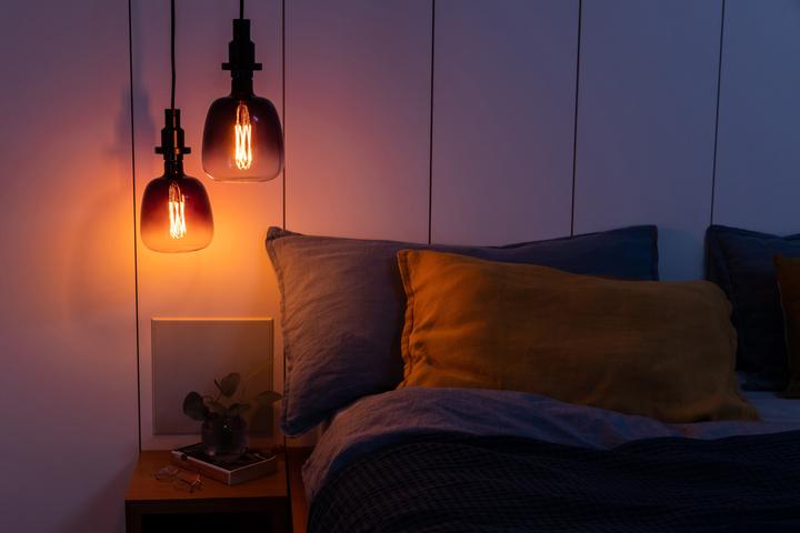 Actual product image Osram Vintage 1906 Led Big Special Shapes (E27, 4.50 W, 150 lm, 1 x, G)