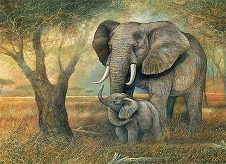 Immagine prodotto Magni Quadro Diamante Elefanti 40x30cm