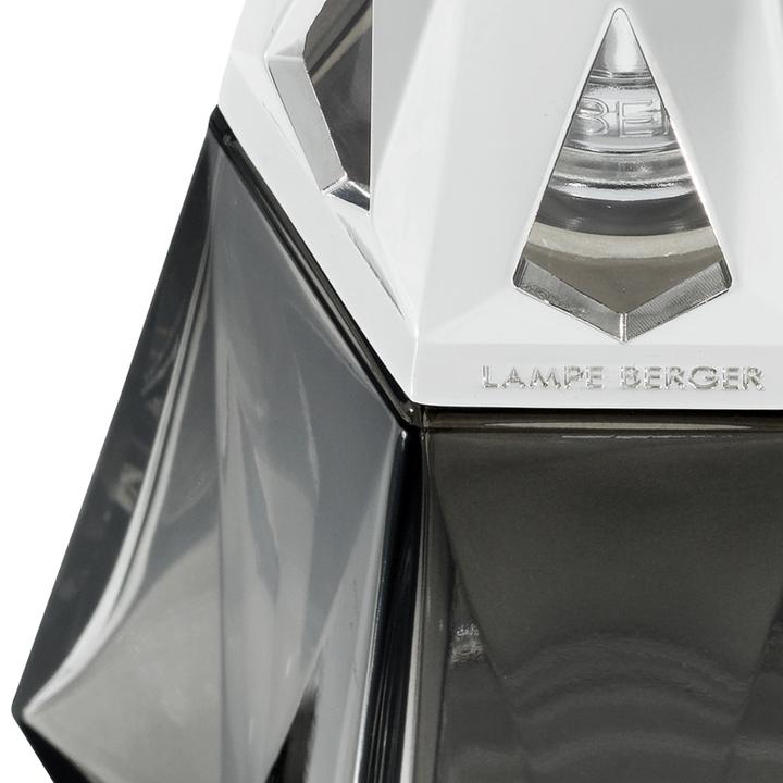 Image du produit Maison Berger Diffuseur de parfum Prisme 250 ml Terre Sauvage (250 ml)