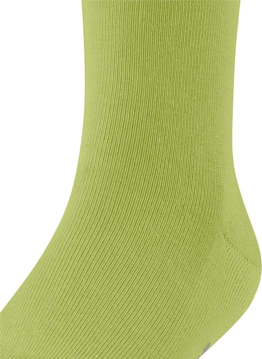 Produktbild Falke Family Kinder (35 - 38)
