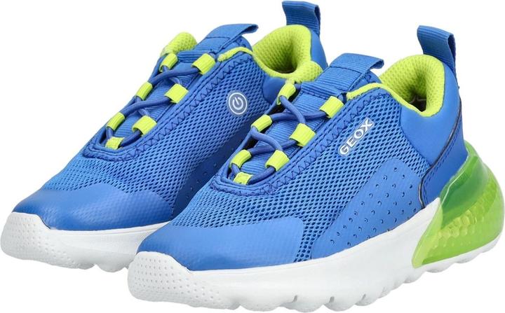 Actual product image Geox Sneaker (37)