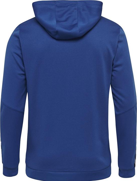 Actual product image hummel Authentic Kids Poly Zip Hoodie (164)