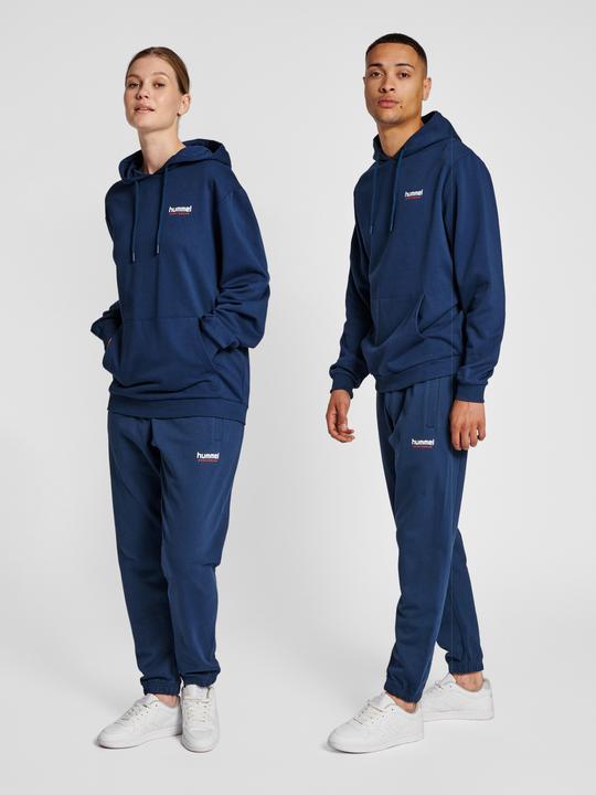 Image du produit hummel Lgc Austin Hoodie (XXL)