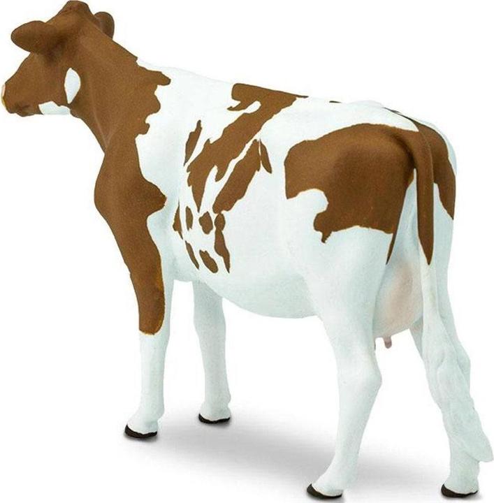 Actual product image Safari Ayrshire beef