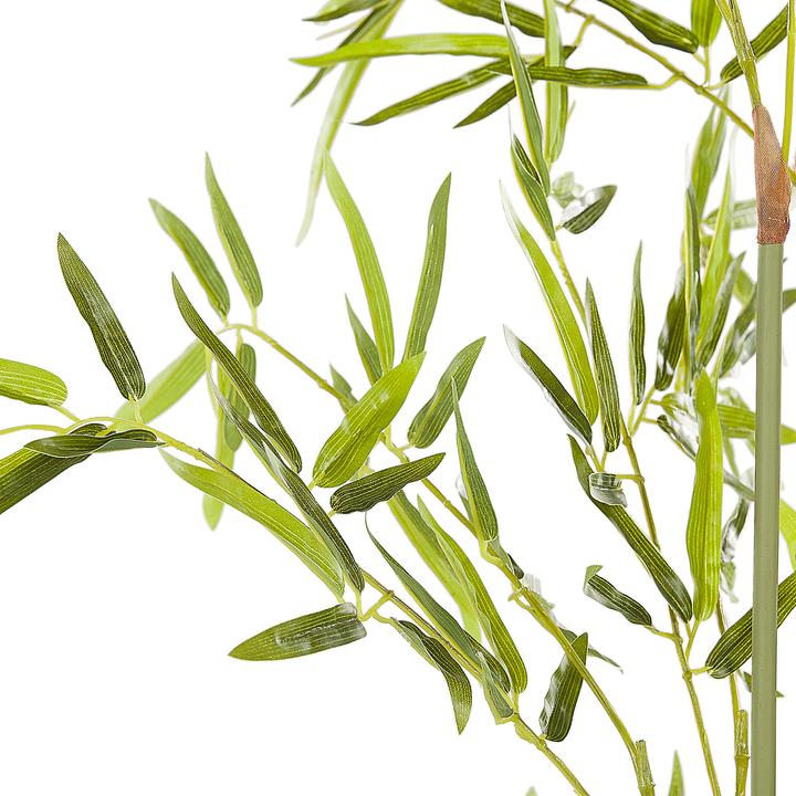 Produktbild Beliani Bambusa Vulgaris (100 cm)