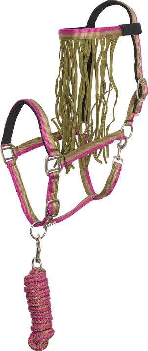 Image du produit Imperial Riding Ensemble licol nylon et longe d'attache pour cheval avec frontal anti-mouches