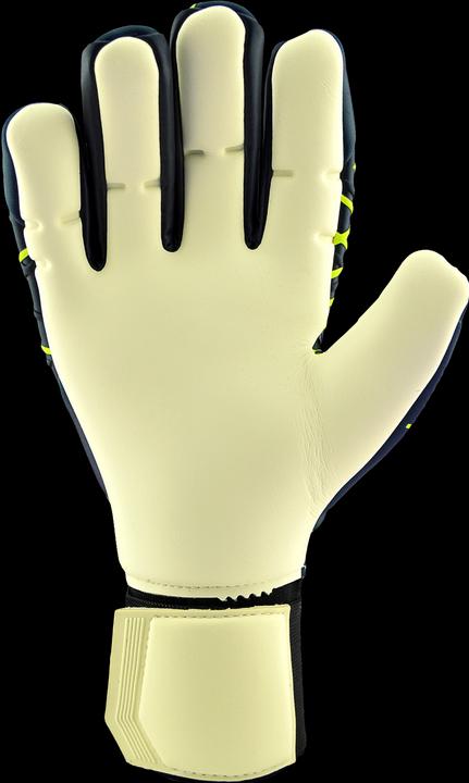 Immagine prodotto Uhlsport Guanti da portiere Pronostico Absolutgrip HN (7)