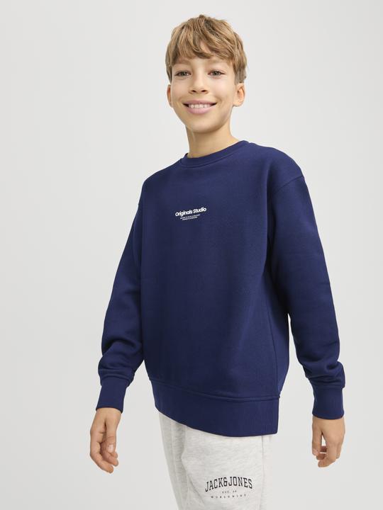 Actual product image Jack & Jones Jorvesterbro Sweat Crew Neck Noos Jnr (140)