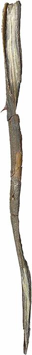 Image du produit Noble Collection Harry Potter Baguette magique Grindelwald (édition personnage)