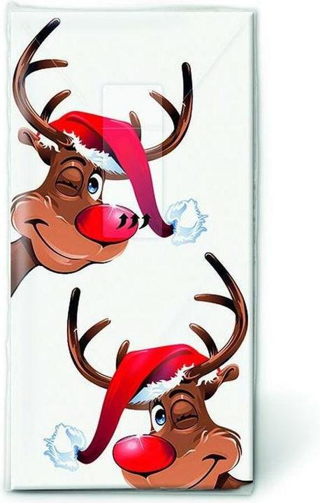 Image du produit Paper + Design Mouchoirs de Rudolph