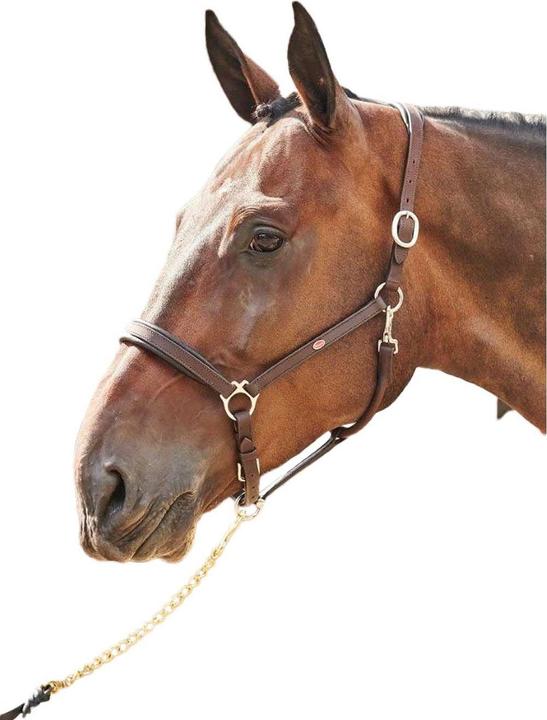Immagine prodotto Cavezza per cavalli pronta da cavalcare in pelle