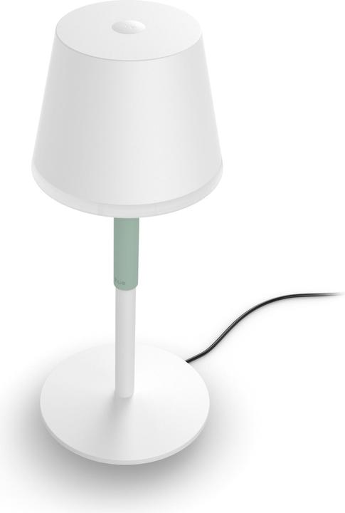 Productafbeelding Philips Hue Hue Go (370 lm)
