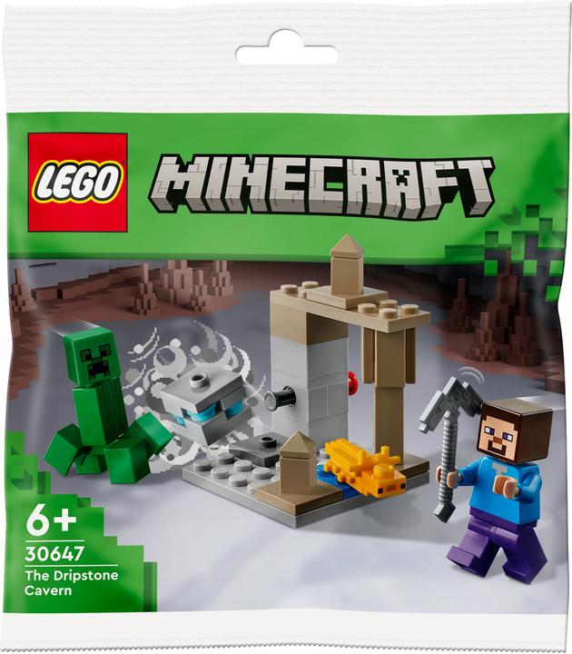 Actual product image LEGO 30647 The Dripstone Cave (30647, LEGO Minecraft)