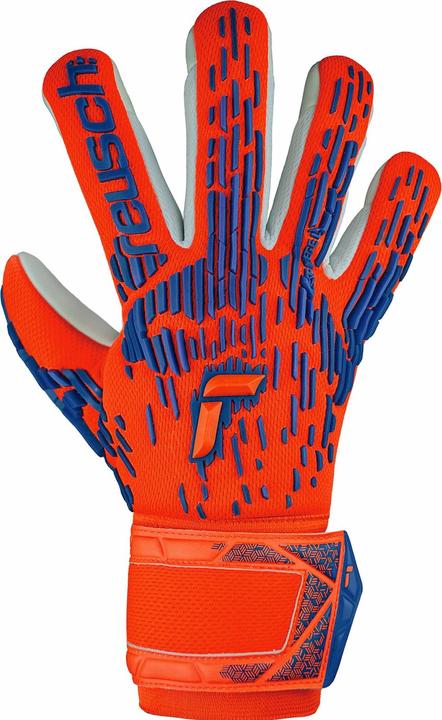 Image du produit Reusch Attrakt Freegel Silver (9)