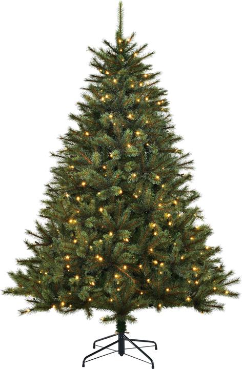 Produktbild edelman Weihnachtsbaum Toronto LED 215x145cm