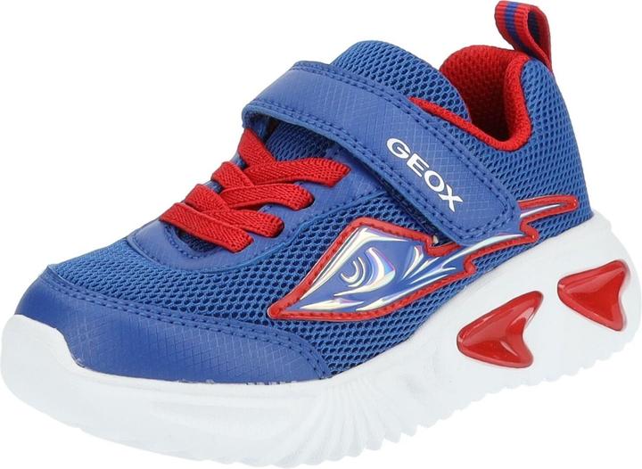 Royal, Rouge C0833