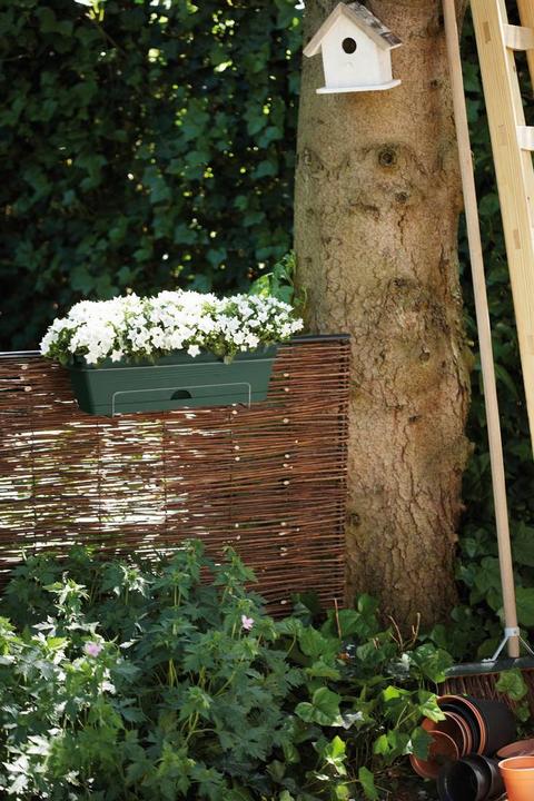 Immagine prodotto Elho Scatola da balcone Green Basics Allin1 (49 cm)