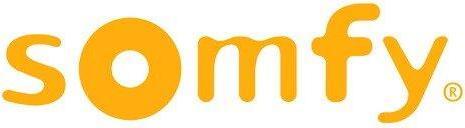 Produktbild somfy Situo 1 io Pure II