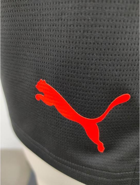 Actual product image Puma individualCUP shorts (XL)