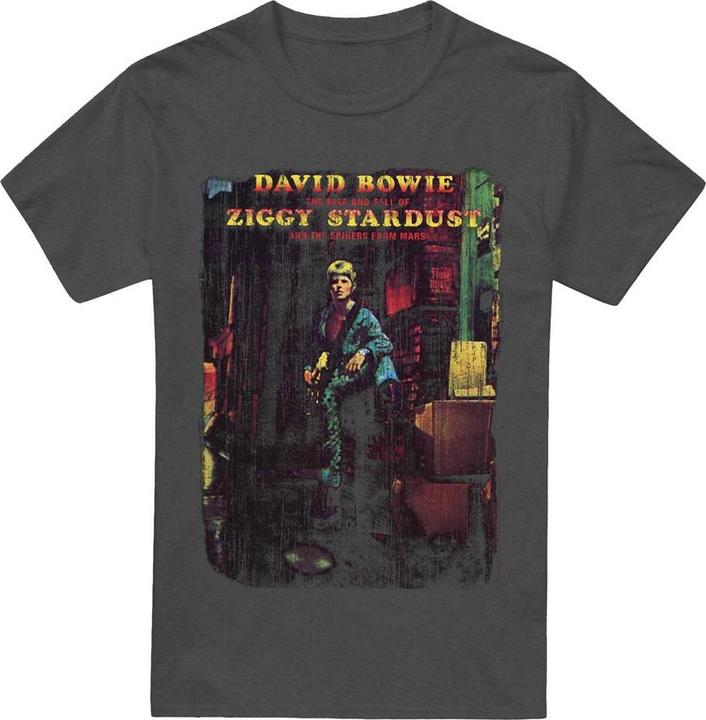 Produktbild David Bowie Ziggy Stardust Album TShirt (L)
