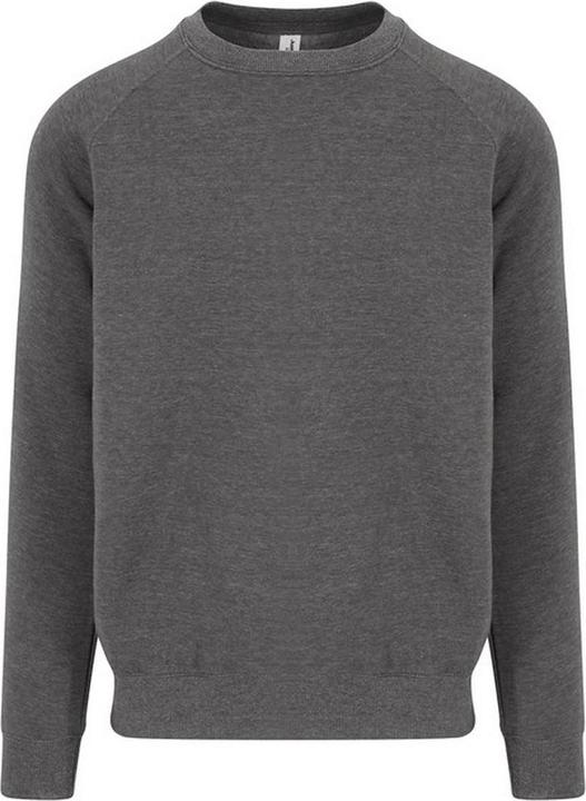 Awdis Graduate Sweatshirt