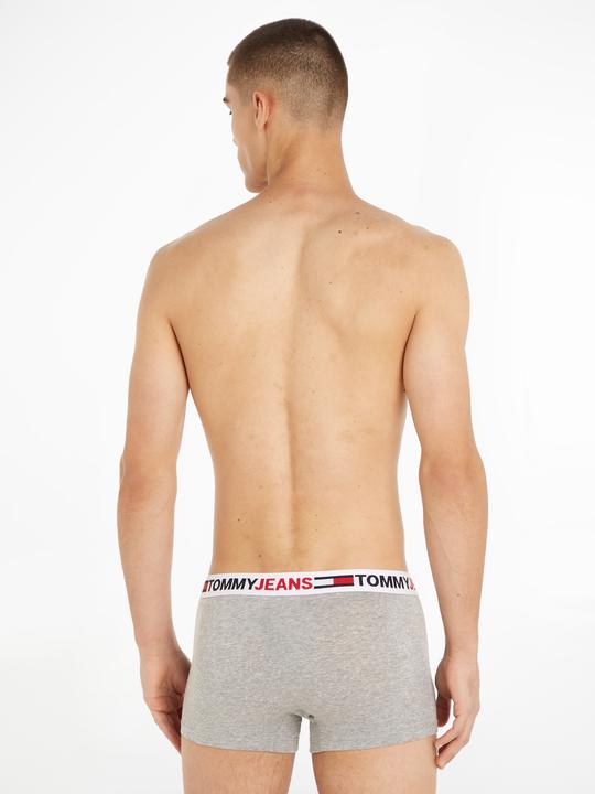 Actual product image Tommy Hilfiger Trunk UM0UM02401 P4A XL (XL)