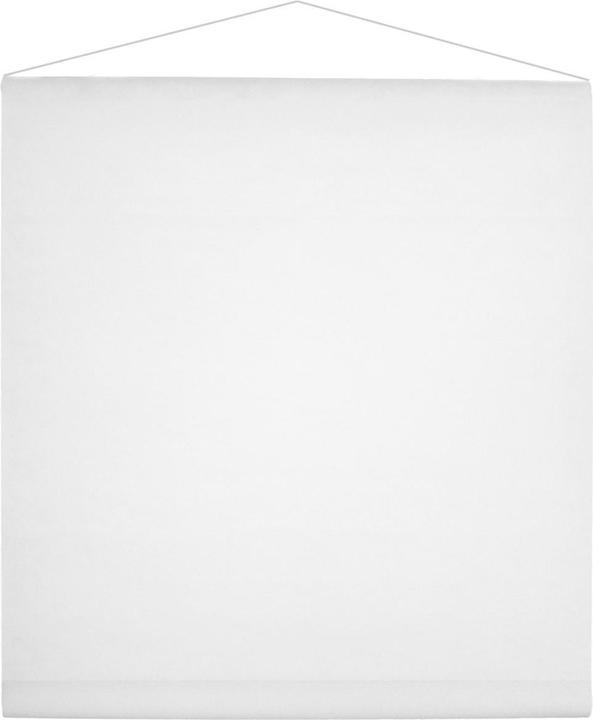 Image du produit Santex Tenture de salle - Blanc (50m)