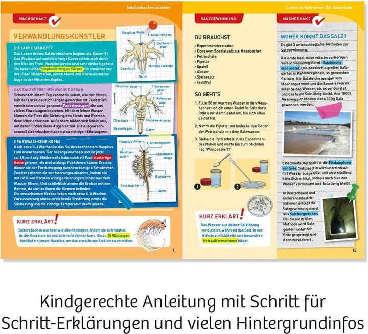 Produktbild Kosmos Salzkrebse